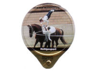 Serie 1.358 C "Voltigesport", Gastro
