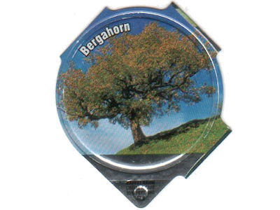 Serie 1.436 D "Baumarten", Riegel