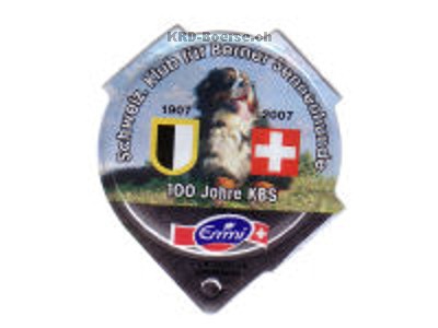 Serie 1.462 B "Berner Sennenhunde", Riegel