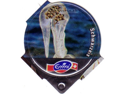 Serie 1.466 B "Schwarzeis", Riegel