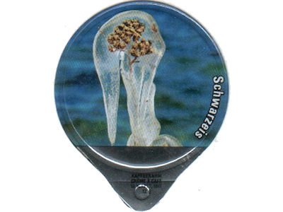 Serie 1.466 C "Schwarzeis", Gastro
