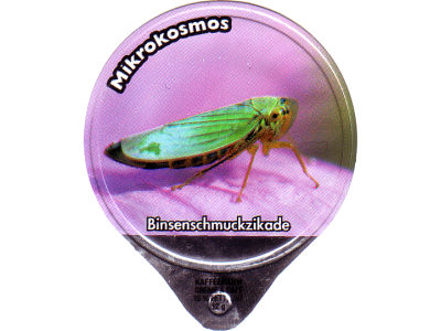 Serie 1.472 C "Mikrokosmos", Gastro