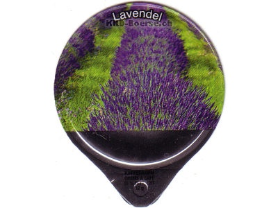 Serie 1.500 C "Lavendel", Gastro