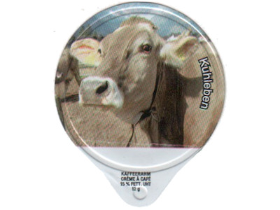 Serie 1.504 C "Kuhleben", Gastro