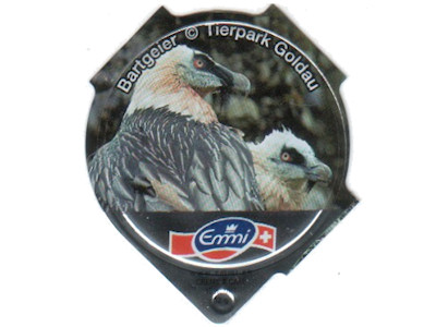 Serie 1.563 B "Tierpark Goldau", Riegel