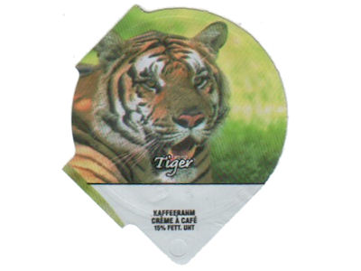 Serie 3.157 C "Tiger", Riegel
