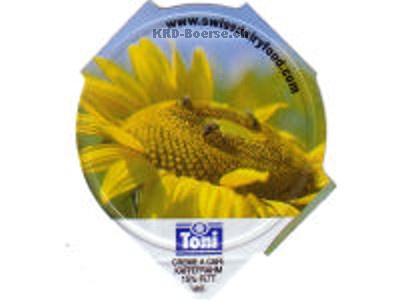 Serie 3.164 B "Sonnenblumen", Riegel