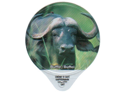 Serie 3.210 C "Wildlife", Gastro