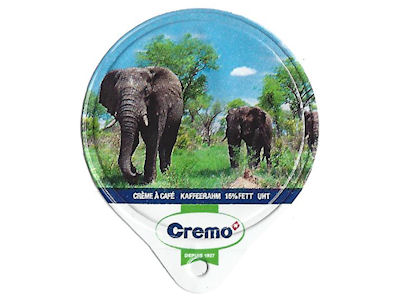 Serie 3.271 A "Afrika", Gastro