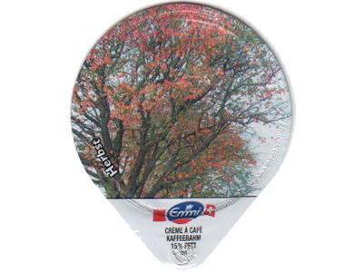 Serie 4.143 C "Herbst"