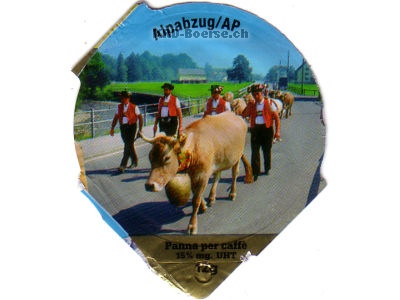 Serie 6.100 "Bilder der Schweiz II", Riegel