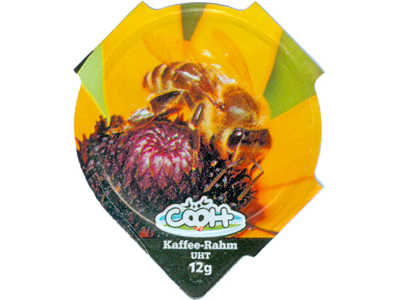 Serie 6.200 "Bienen", Riegel