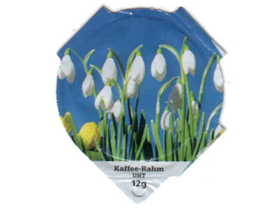Serie 6.232 "Frühling", Riegel