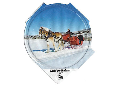Serie 6.248 "Schlitten", Riegel