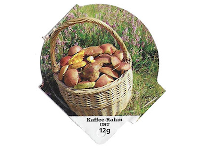 Serie 6.258 "Herbst", Riegel