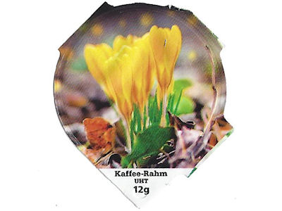 Serie 6.268 B "Frühling", Riegel