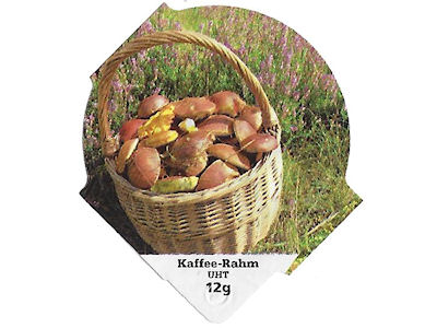 Serie 6.296 B "Herbst 2017", Riegel