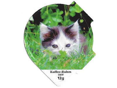 Serie 6.312 "Cats", Riegel