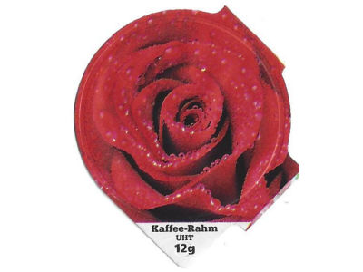 Serie 6.355 "Rosen", Riegel