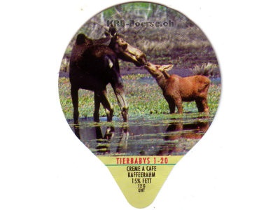 Serie 7.111 "Tierbabys", Gastro