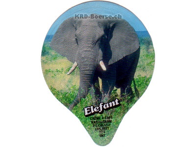 Serie 7.162 \"Elefant\", Gastro