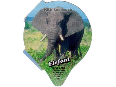 Serie 7.162 \"Elefant\", Riegel