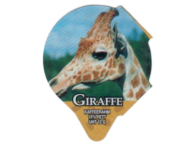Serie 7.249 \"Giraffe\", Riegel