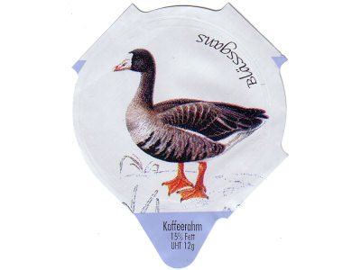 Serie 7.281 "Wasservögel", Riegel