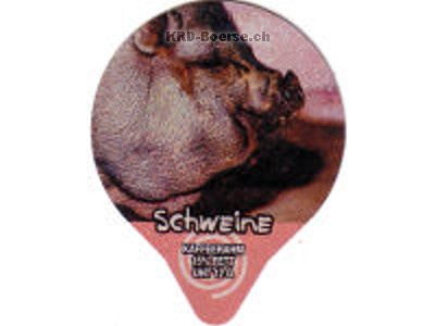 Serie 7.309 \"Schweine\", Gastro