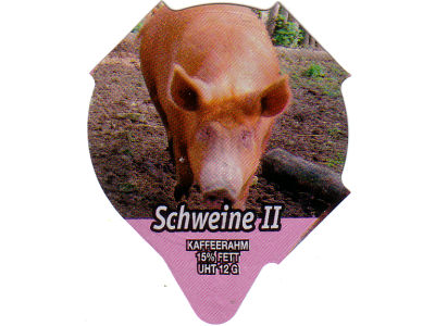 Serie 7.330 "Schweine II", Riegel