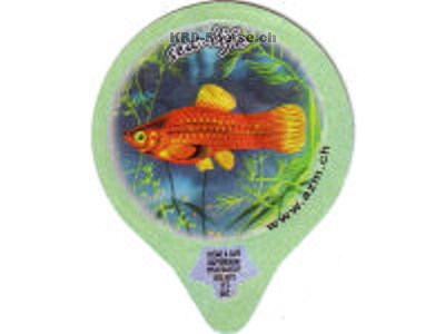 Serie 7.402 "sea-life", Gastro