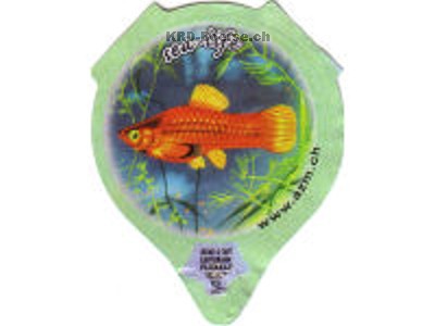Serie 7.402 "sea-life", Riegel