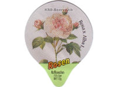 Serie 7.404 "Rosen", Gastro