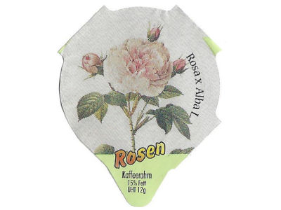 Serie 7.404 "Rosen", Riegel