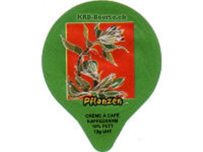 Serie 7.427 "Pflanzen", Gastro