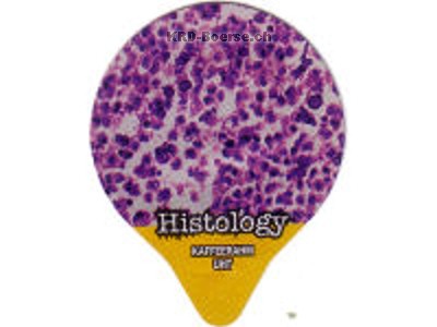 Serie 7.444 "Histology", Gastro