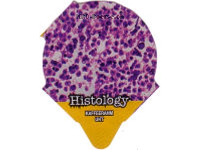 Serie 7.444 "Histology", Riegel