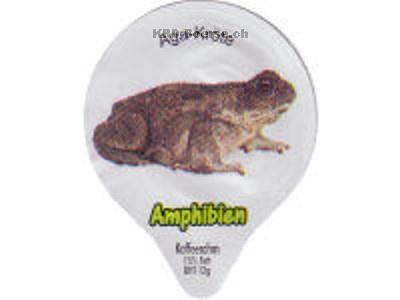 Serie 7.449 "Amphibien", Gastro