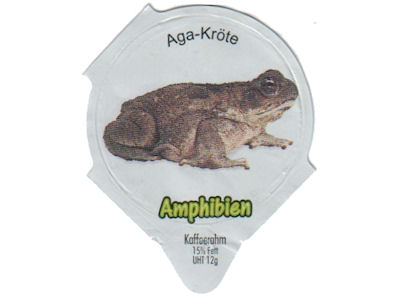 Serie 7.449 "Amphibien", Riegel