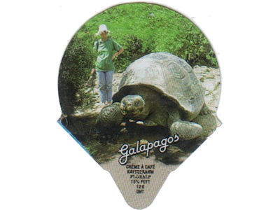 Serie 7.487 "Galapagos", Riegel