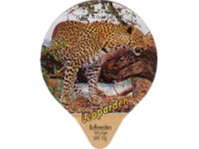 Serie 7.493 "Leoparden", Gastro
