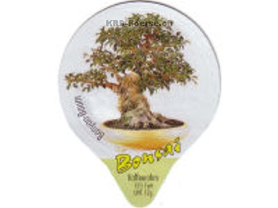 Serie 7.503 "Bonsai", Gastro