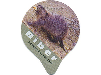 Serie 7.571 "Biber", Gastro
