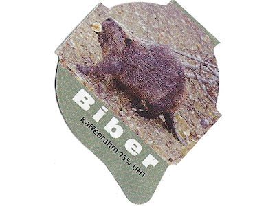 Serie 7.571 "Biber", Riegel