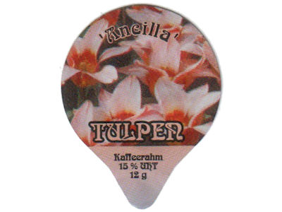Serie PS 9/02 "Tulpen", Gastro