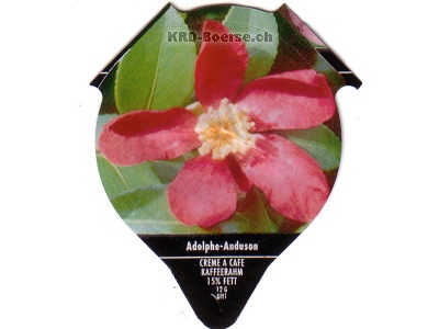 Serie PS 29/94 A "Kamelien", AZM Riegel