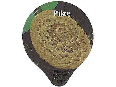 Serie PS 2/96 A "Pilze", Gastro