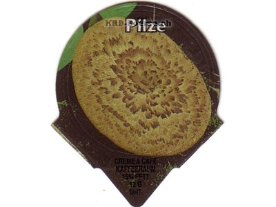 Serie PS 2/96 B "Pilze", Riegel