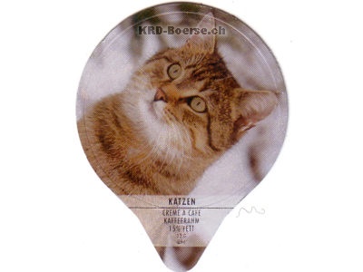 Serie PS 31/94 A "Katzen", AZM Gastro