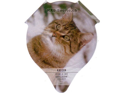 Serie PS 31/94 A \"Katzen\", AZM Riegel